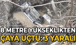 Hafif ticari araç 8 metre yükseklikten çaya uçtu: 3 yaralı