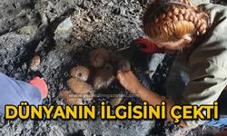 Dünyanın ilgisini çekti