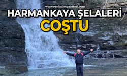 Harmankaya Şelaleleri coştu