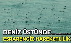 Deniz üzerinde esrarengiz hareketlilik