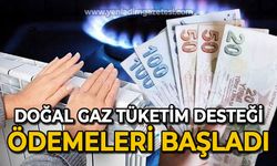 Doğal Gaz Tüketim Desteği ödemeleri başladı