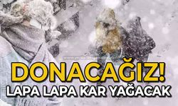 Donacağız: Lapa lapa kar yağacak!