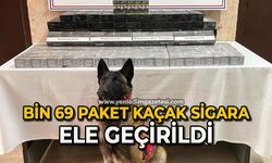 Tırda bin 69 paket kaçak sigara ele geçirildi