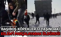 Başıboş köpekler 12 yaşındaki Eslem'i parçalayarak öldürdü!