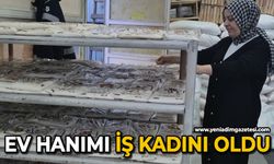 Ev hanımı iş kadını oldu