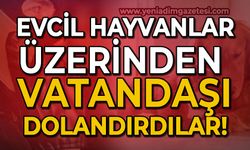 Evcil hayvan sahiplendirme vaadiyle vatandaşları 110 milyon 255 bin TL dolandırdılar!