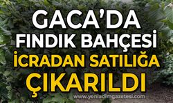 Gaca’da fındık bahçesi icradan satılığa çıkartıldı