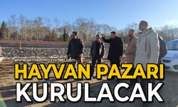 Hayvan pazarı kurulacak