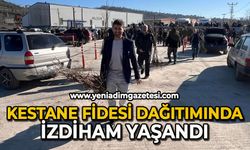 Kestane fidesi dağıtımında izdiham yaşandı