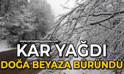 Kar yağdı, doğa beyaza büründü