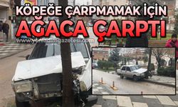 Köpeğe çarpmamak için ağaca çarptı