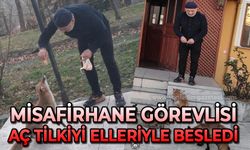 Misafirhane görevlisi, aç tilkiyi elleriyle besledi