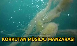 Korkutan müsilaj manzarası