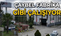 ÇayBel fabrika gibi çalışıyor