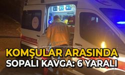 Komşular arasında sopalı kavga: 6 yaralı