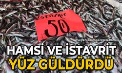 Hamsi ve istavrit yüz güldürdü