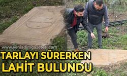 Tarlayı sürerken Lahit bulundu