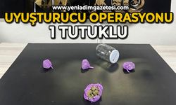 Uyuşturucu operasyonu: 1 tutuklu