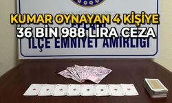 Kumar oynayan 4 kişiye 36 bin 988 lira ceza