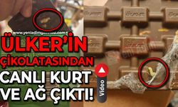 Ülker'in çikolatasından canlı kurt ve ağ çıktı!