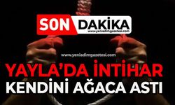 Yayla'da intihar: Kendini ağaca astı