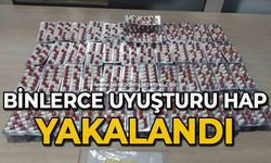 Binlerce uyuşturucu hap yakalandı