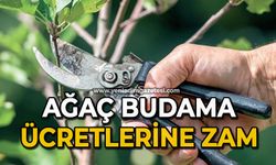 Ağaç budama ve kesme ücretleri zamlandı