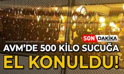 AVM'de 500 kilo sucuğa el konuldu!