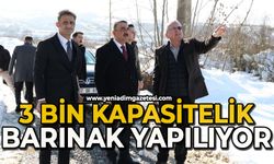 3 bin kapasitelik barınak yapılıyor