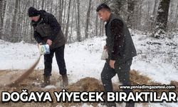 Doğaya yiyecek bıraktılar