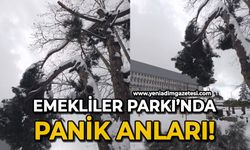 Emekliler Parkı'nda panik anları