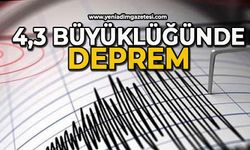 4,3 büyüklüğünde deprem