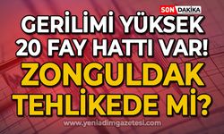 Gerilimi yüksek 20 fay bulunuyor: Zonguldak tehlikede mi?