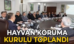 Hayvan Koruma Kurulu toplandı