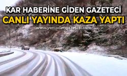 Kar haberine giden gazeteci canlı yayında kaza yaptı