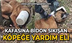 Kafasına plastik bidon sıkışan köpeğe yardım eli