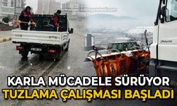 Karla mücadele başladı: Tuzlama çalışmaları sürüyor