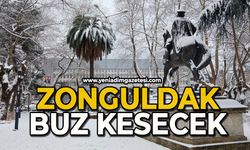 Zonguldak buz kesecek