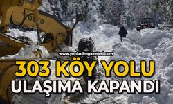 303 köy yolu kar yağışı sebebiyle ulaşıma kapandı