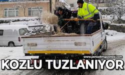 Kozlu tuzlanıyor