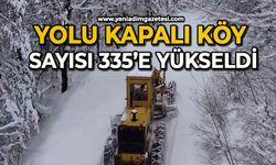 Kar sebebiyle yolu kapalı köy sayısı 335’e yükseldi