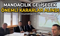 Mandacılık gelişecek: Önemli kararlar alındı