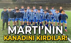 Martının kanadını kırdılar!