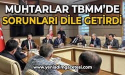 Muhtarlar TBMM'de sorunları dile getirdi