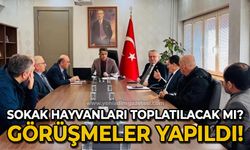 Görüşme yapıldı: Sokak hayvanları toplatılacak mı?