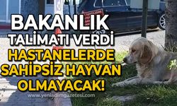 Sağlık Bakanlığı’dan 81 ile talimat: "Hastanelerde sahipsiz hayvan olmayacak"