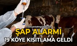 Şap alarmı: 19 köye kısıtlama geldi