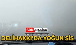 Delihakkı’da yoğun sis