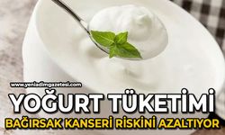 Düzenli yoğurt tüketmek bağırsak kanseri riskini azaltıyor