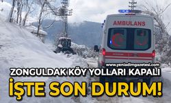 Zonguldak'ta köy yolları kapalı: İşte son durum